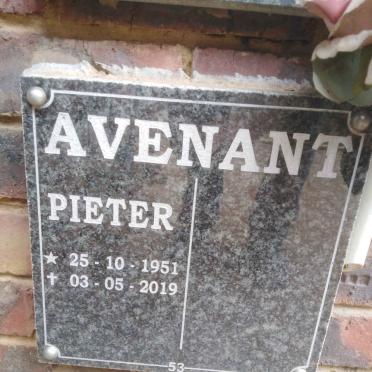 AVENANT Pieter 1951-2019