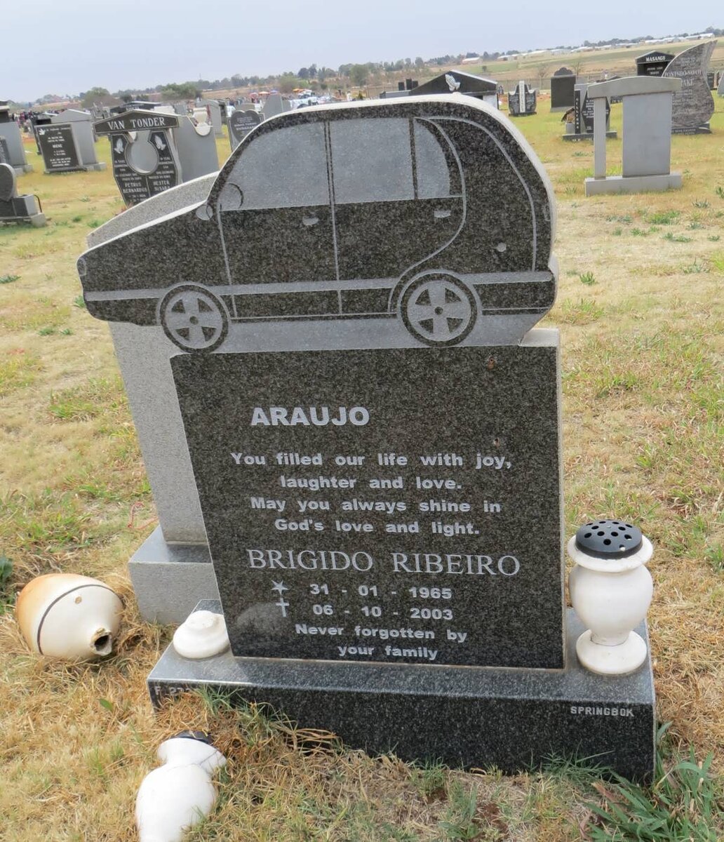 ARAUJO Brigido Ribeiro 1965-2003