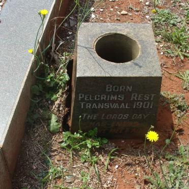 BOTHA Ellen S. 1880-1966