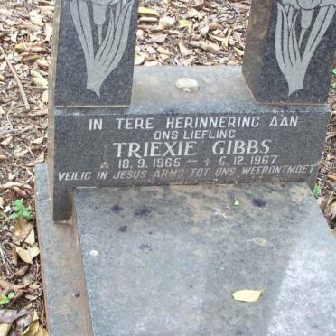 GIBBS Triexie 1965-1967
