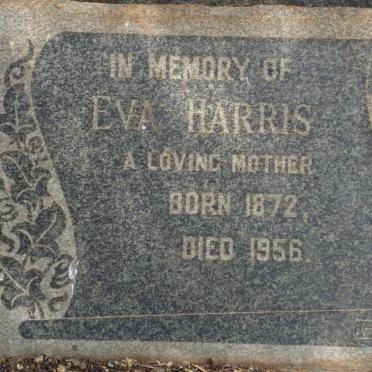HARRIS Eva 1872-1956