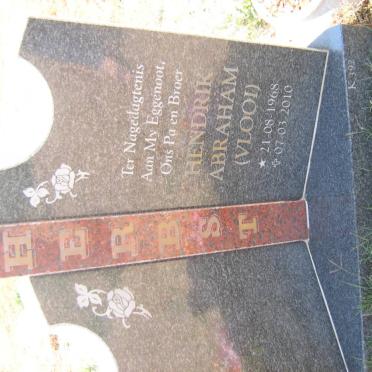 HERBST Hendrik Abrham Vlooi 1968-2010