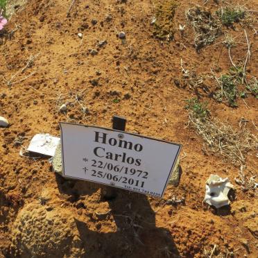 HOMO Carlos 1972-2011