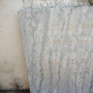 JOHNSON Amelia 1905-1984