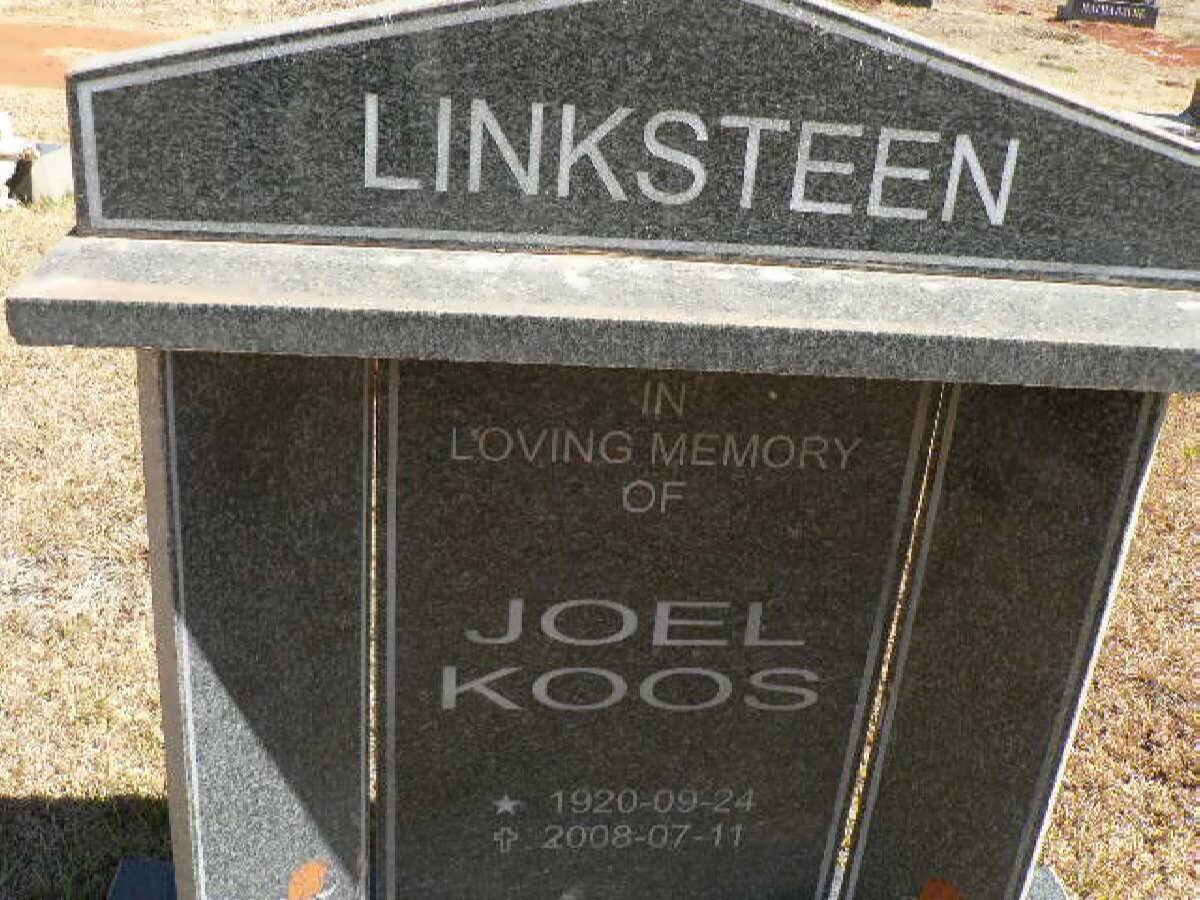 LINKSTEEN Joel Koos 1920-2008