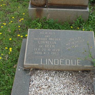 LINDEQUE Cornelia De Beer 1879-1963