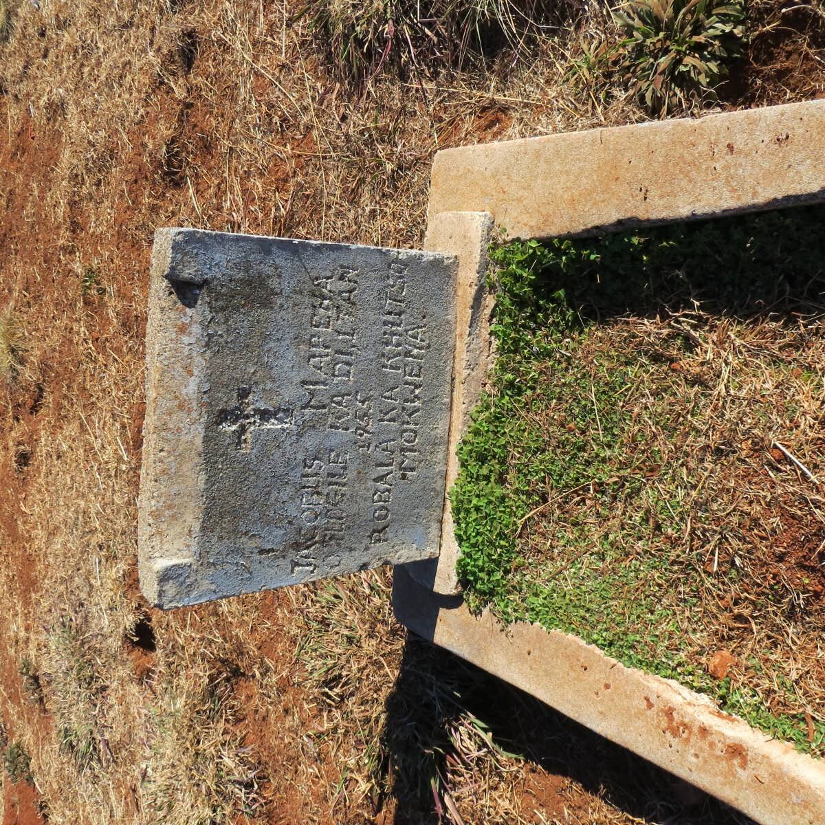 MAPEHA Jacobus -1955