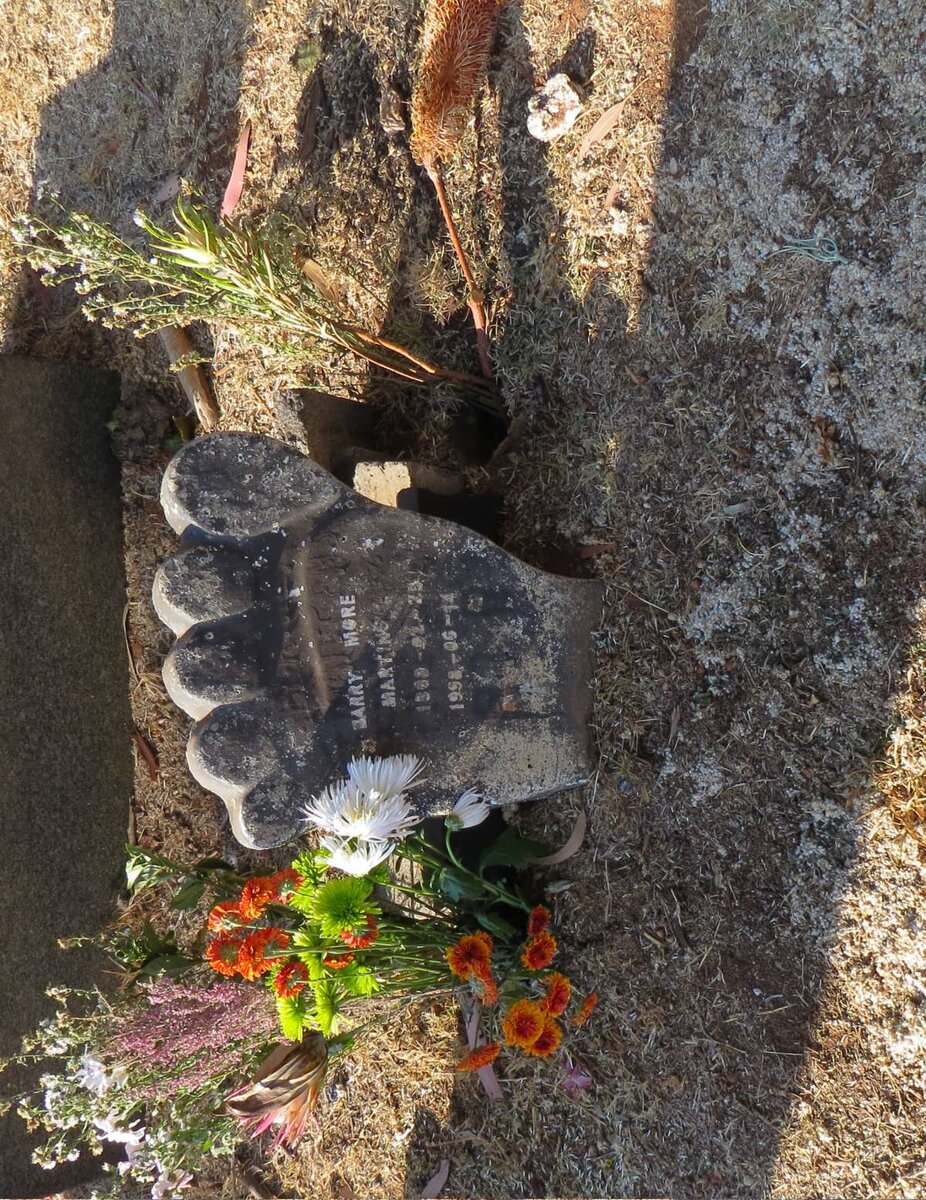 MARTINS Barry More 1969-1998