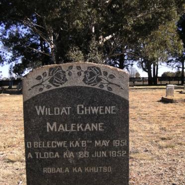 MALEKANE Wildat Chwene 1951-1952