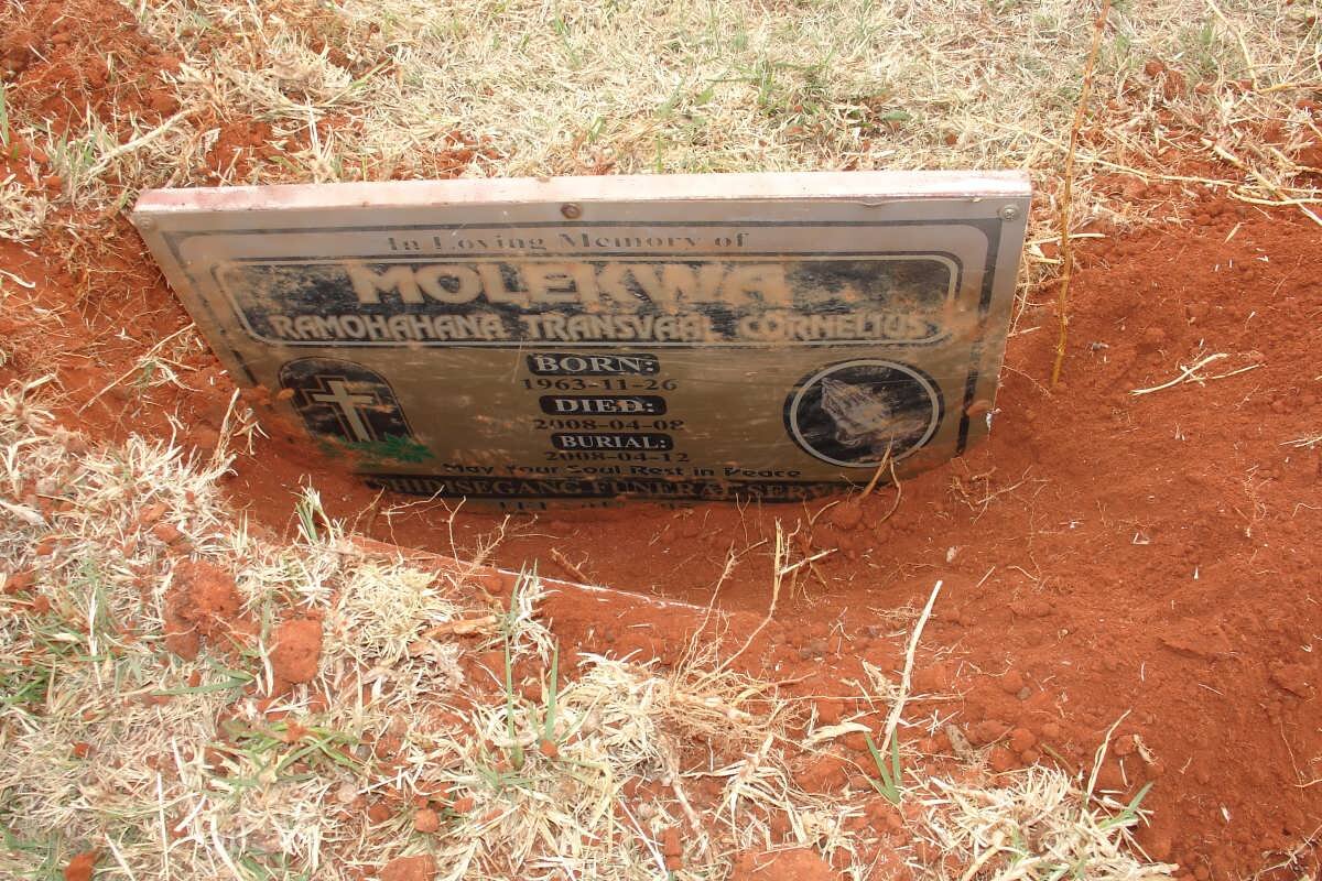 MOLEKWA Ramahahana Transvaal Cornelius 1963-2008