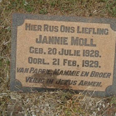MOLL Jannie 1928-1929