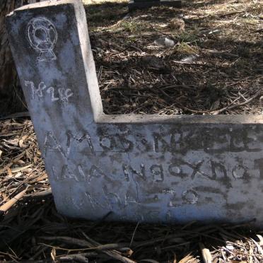 Nc - Surnames starting with the letters Nc