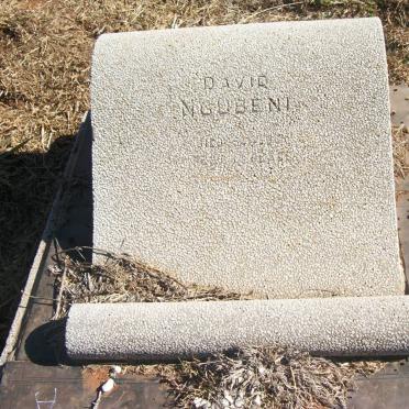 NGOBENI David