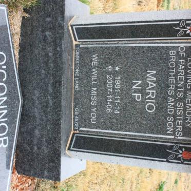 O'CONNOR Mario N.P. 1981-2007