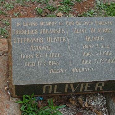 OLIVIER Cornelius Johannes Stephanus 1880-1945 &amp; Olive Beatrice EALES 1886-1950