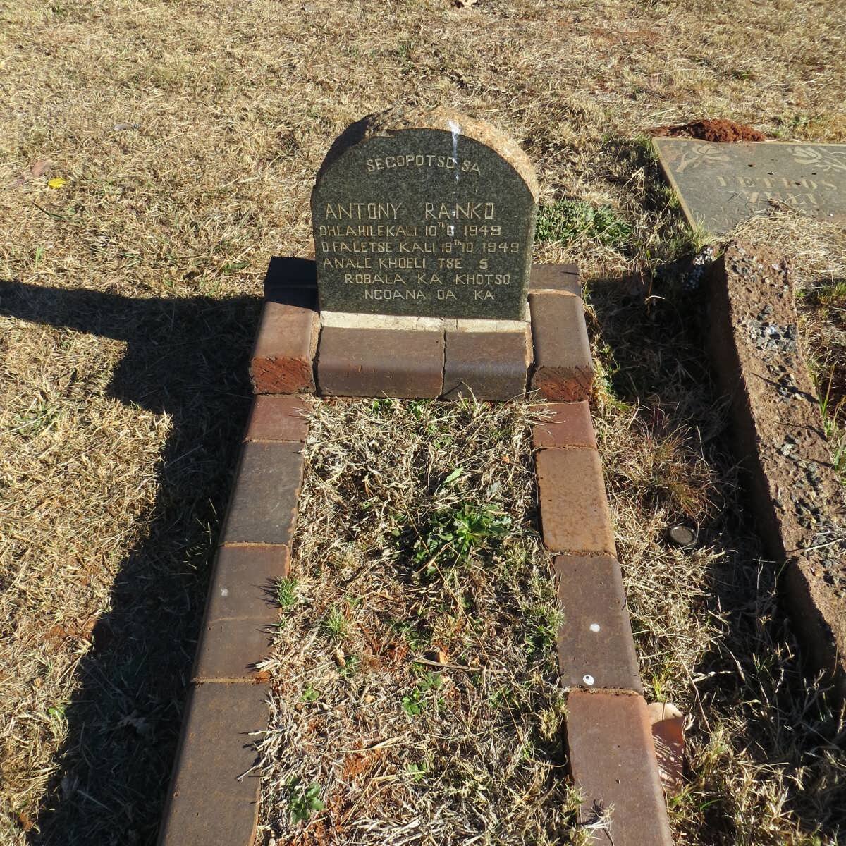 RANKO Anthony 1949-1949