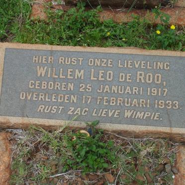 ROO Willem Leo, de 1917-1933