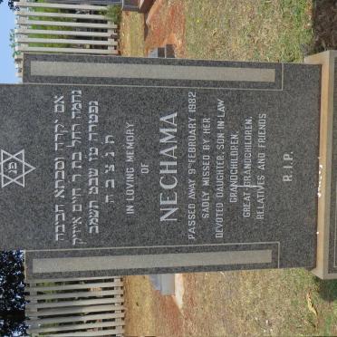 SOLOMON Nechama -1982