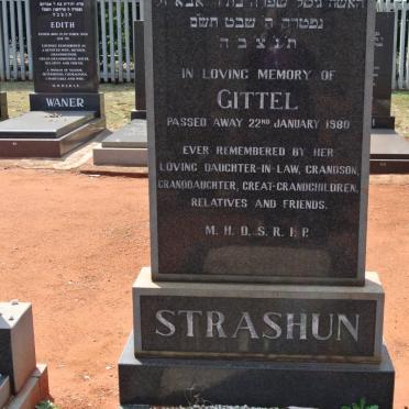 STRASHUN Gittel -1980