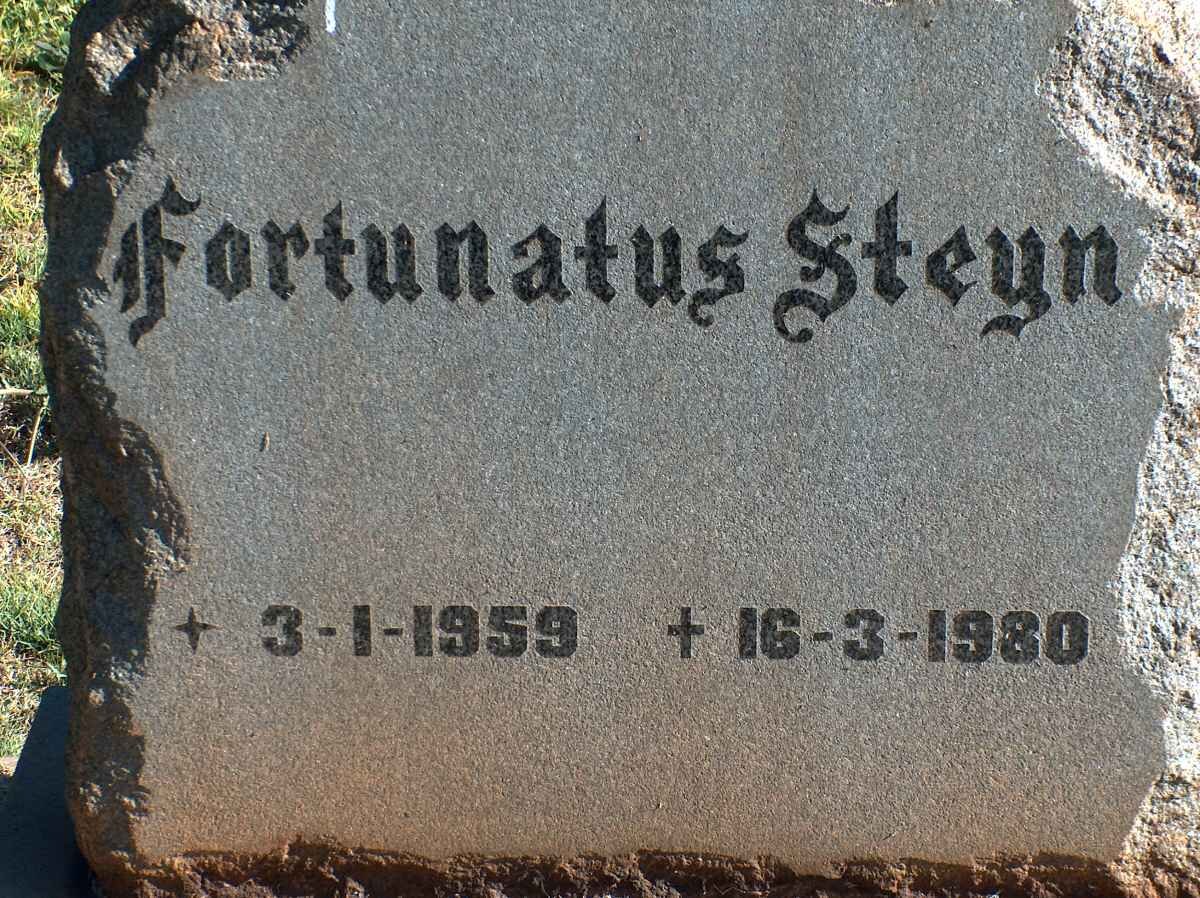 STEYN Fortunatus 1959-1980