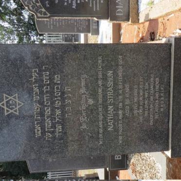 STRASHUN Nathan -1954