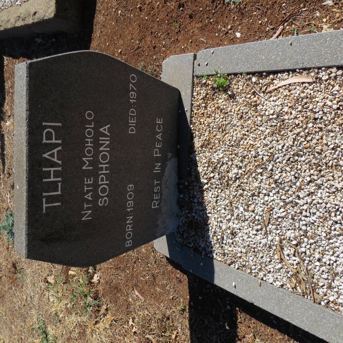 TLHAPI Ntate Moholo Sophonia 1909-1970