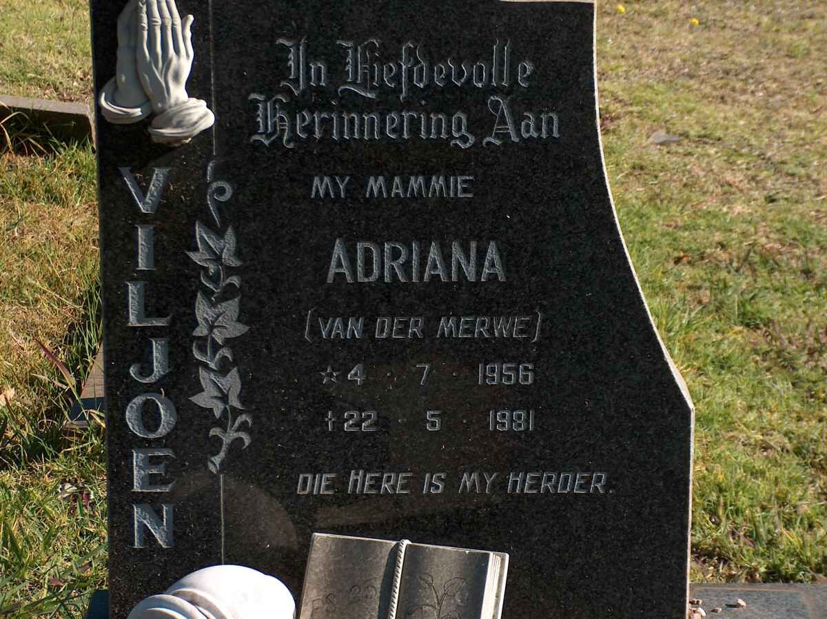 VILJOEN Adriana nee VAN DER MERWE 1956-1981