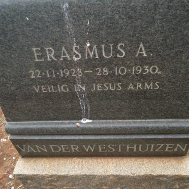 WESTHUIZEN Erasmus A., van der.JPG
