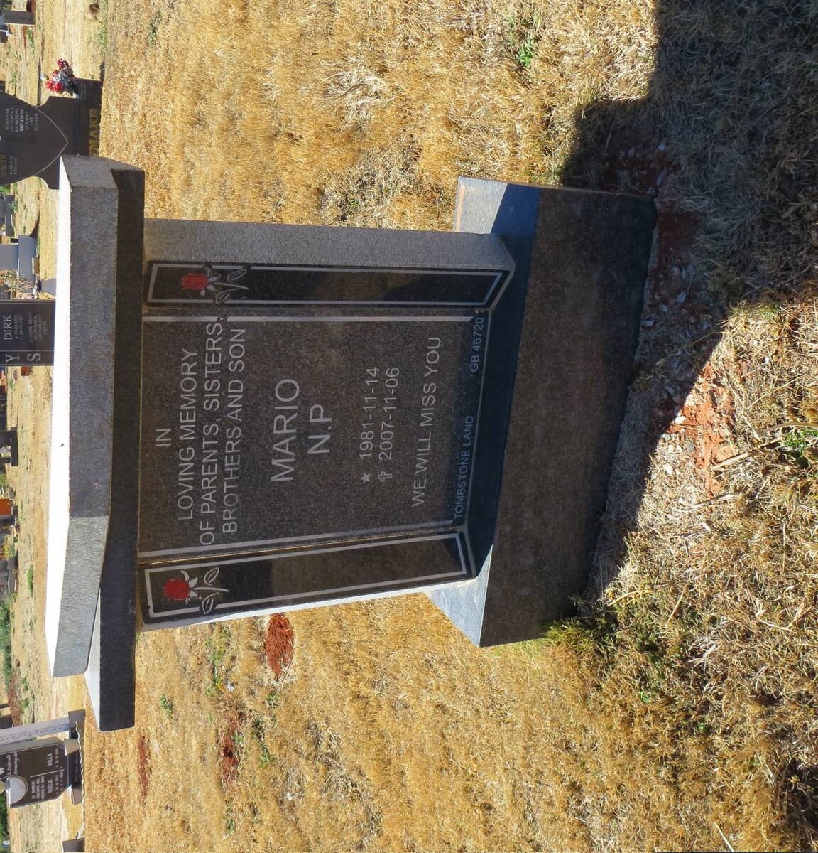 ? Mario N.P. 1981-2007