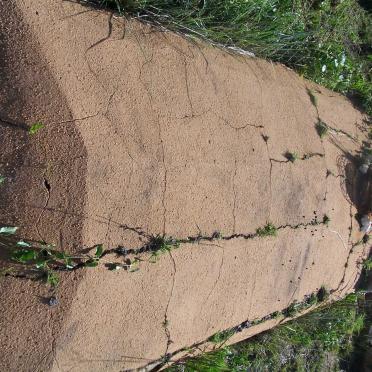 VENTER Hester Magdalena nee PRINSLOO 1871-1902