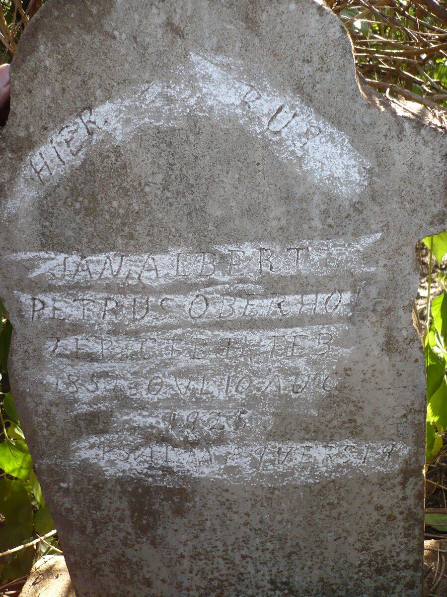 OBERHOLZER Jan Albert Petrus 1851-1925