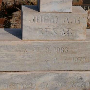 CESAR Julio  A.G. 1963-1979