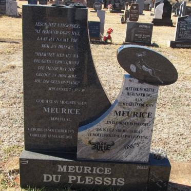 PLESSIS Meurice, du 1971-2000