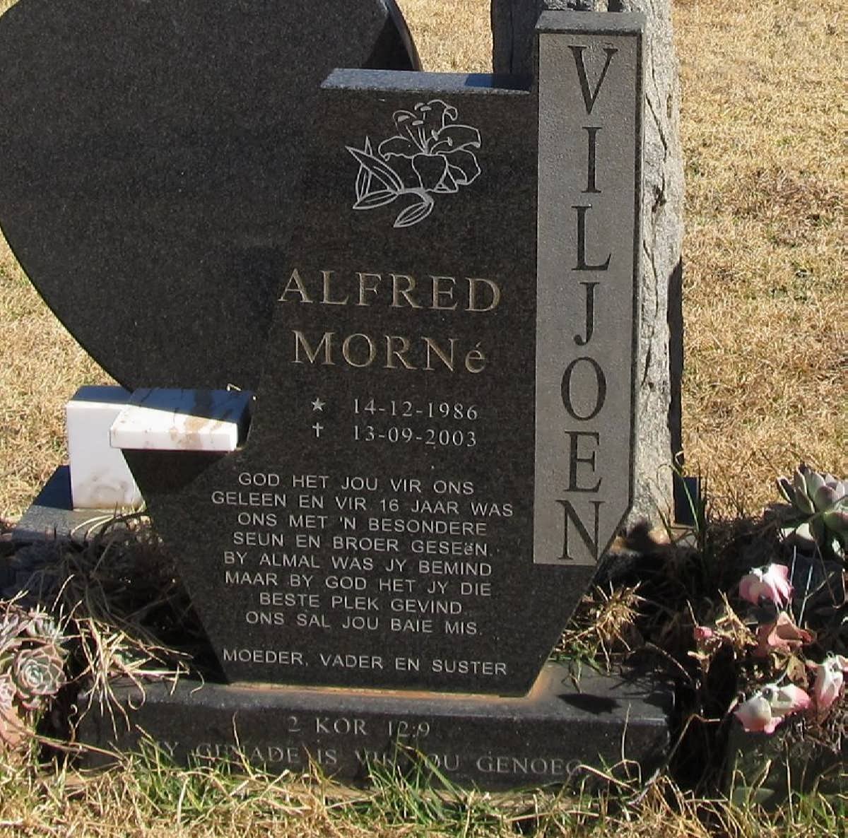 VILJOEN Alfred Morne 1986-2003