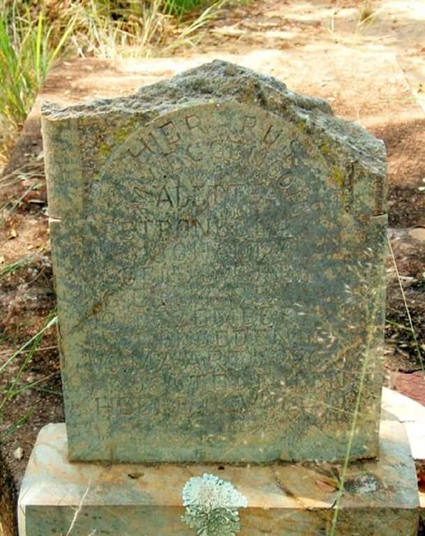 DENYSSCHEN Aletta Petronella Johanna 1895-1920