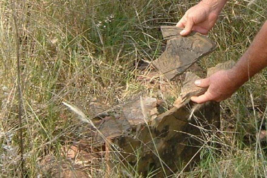 PRINS? Maria Sibella nee ERASMUS 1798-1863