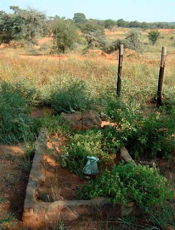 ERASMUS Michal Koenraad 1909-1991_2