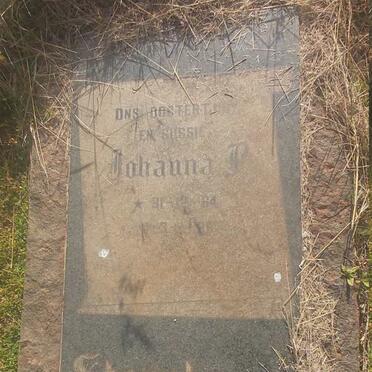 STEENKAMP Johanna P. 1964-1966