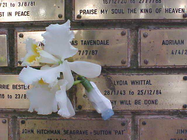 WHITTAL Lydia Elizabeth née KALIL 1943-1984