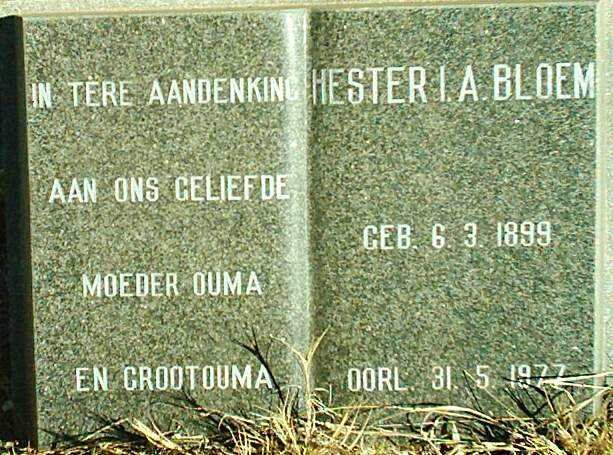 BLOEM Hester I.A. 1899-1977
