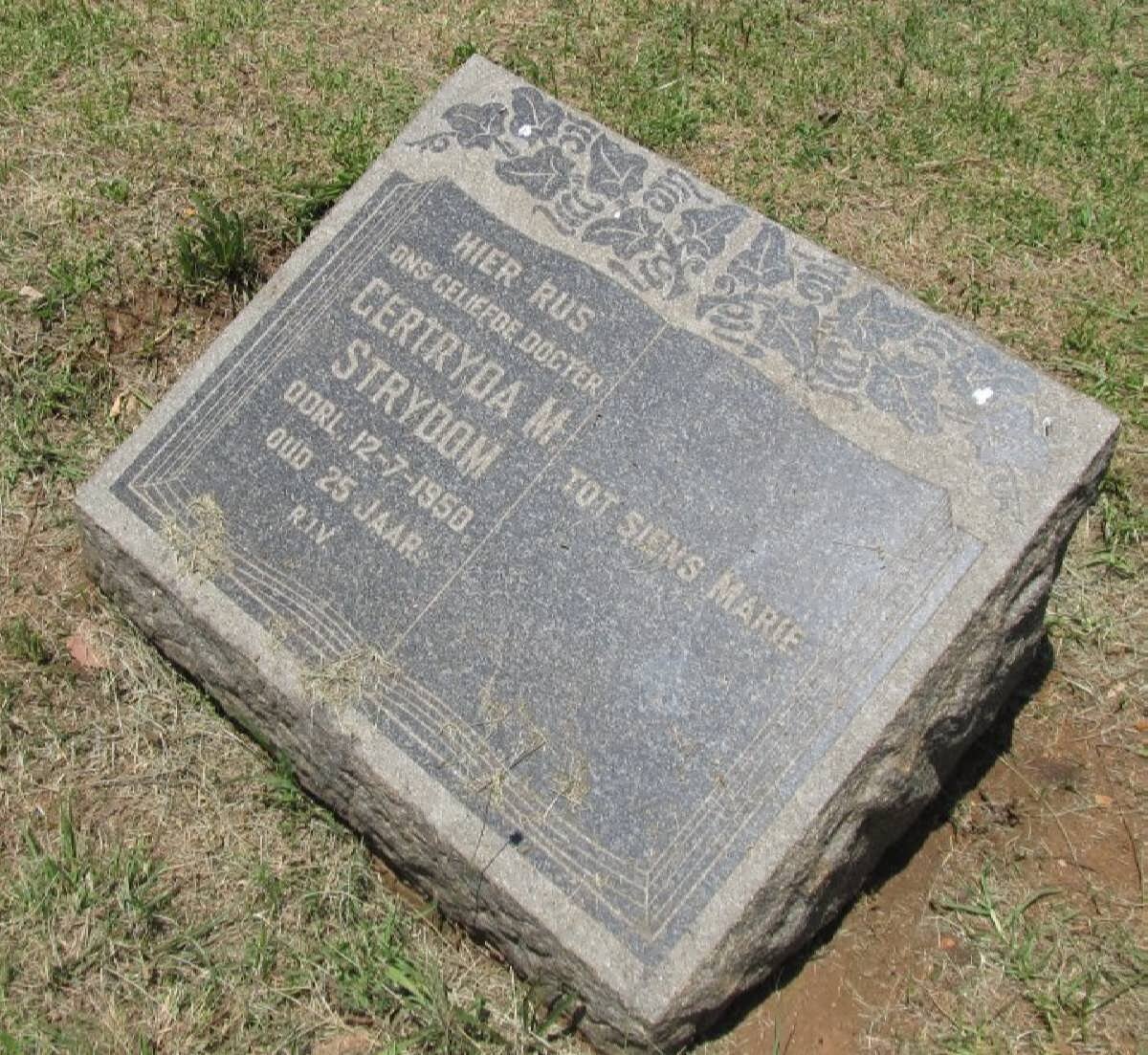 STRYDOM Gertryda M. -1950