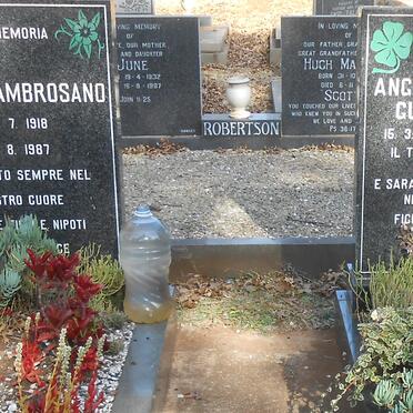 AMBROSANO Nicola 1918-1987 :: GUGLIELMINO Angiolina Donde 1920-2006 :: GUGLIELMINO Rosario 1914-2000