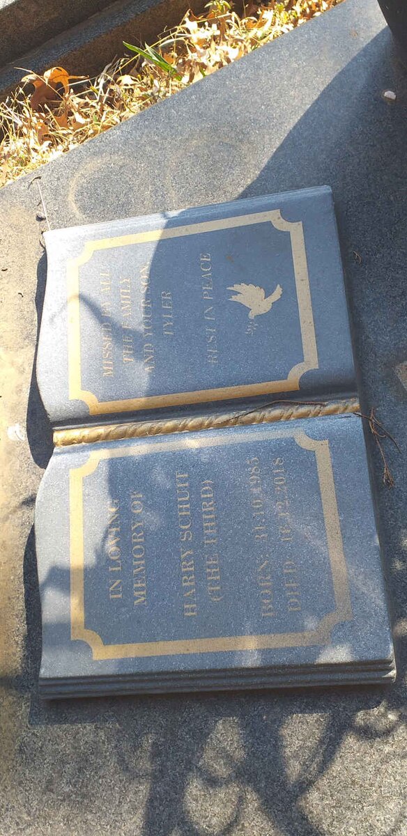 SCHUIT Harry 1985-2018