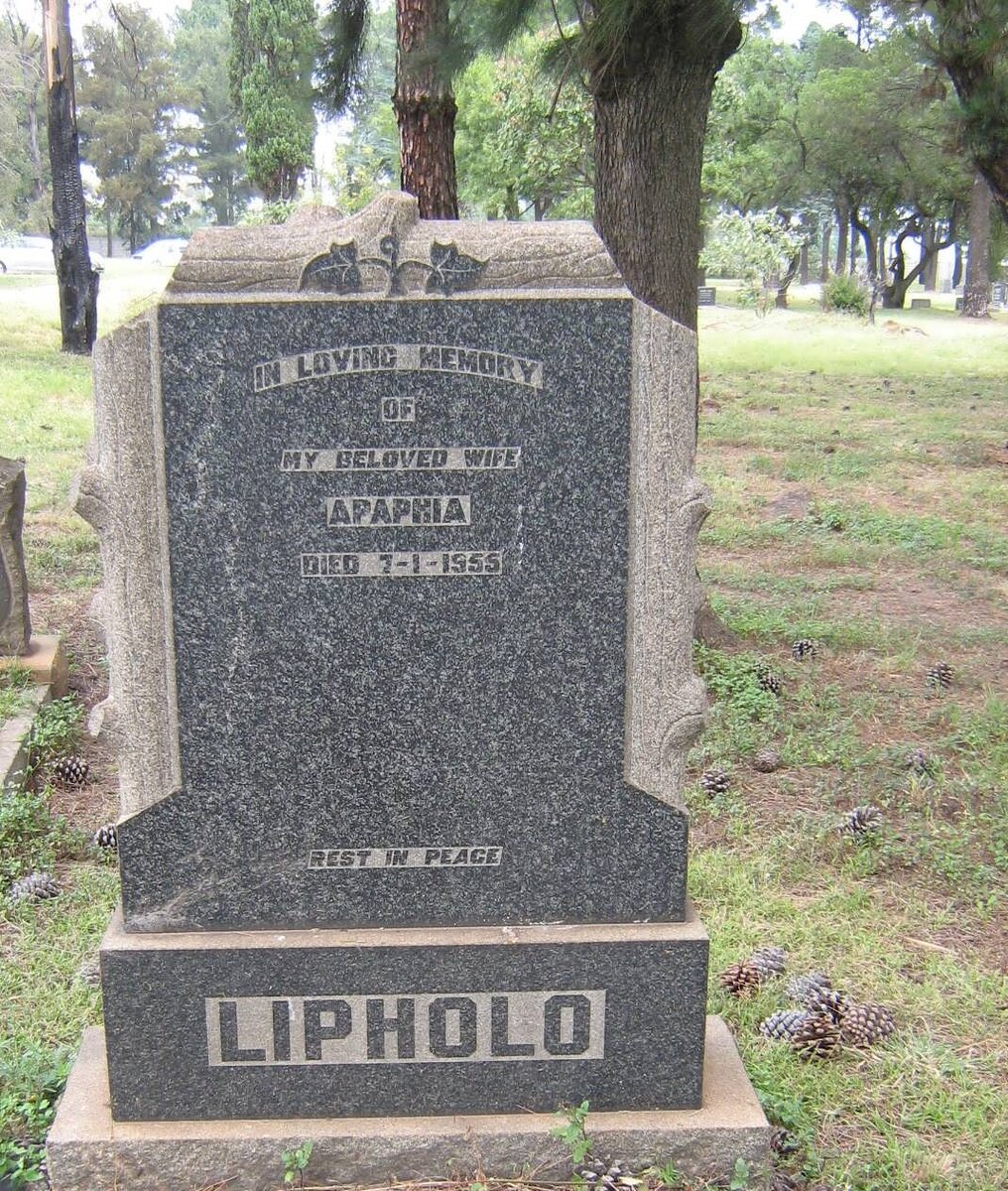 LIPHOLO Apaphia -1955