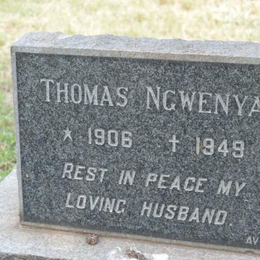 N - Vanne :: Surnames - N