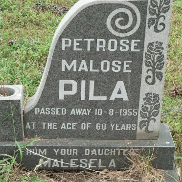 PILA Petrose Malose -1955
