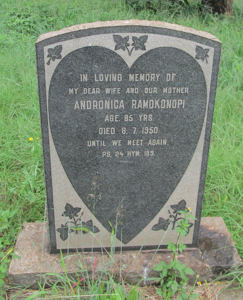 RAMOKONOPI Andronica -1950