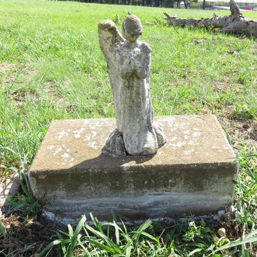 STEYN Judith Francis Tladi 1954-1956