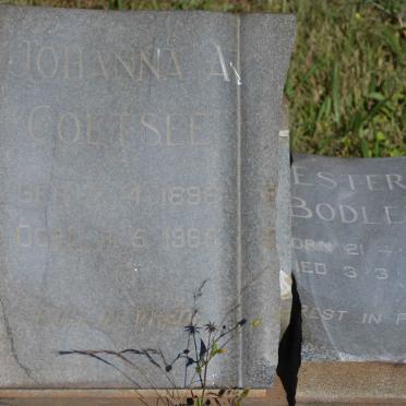 COETSEE Johanna A. 1896-1965 :: BODLEY Ester 1918-1966