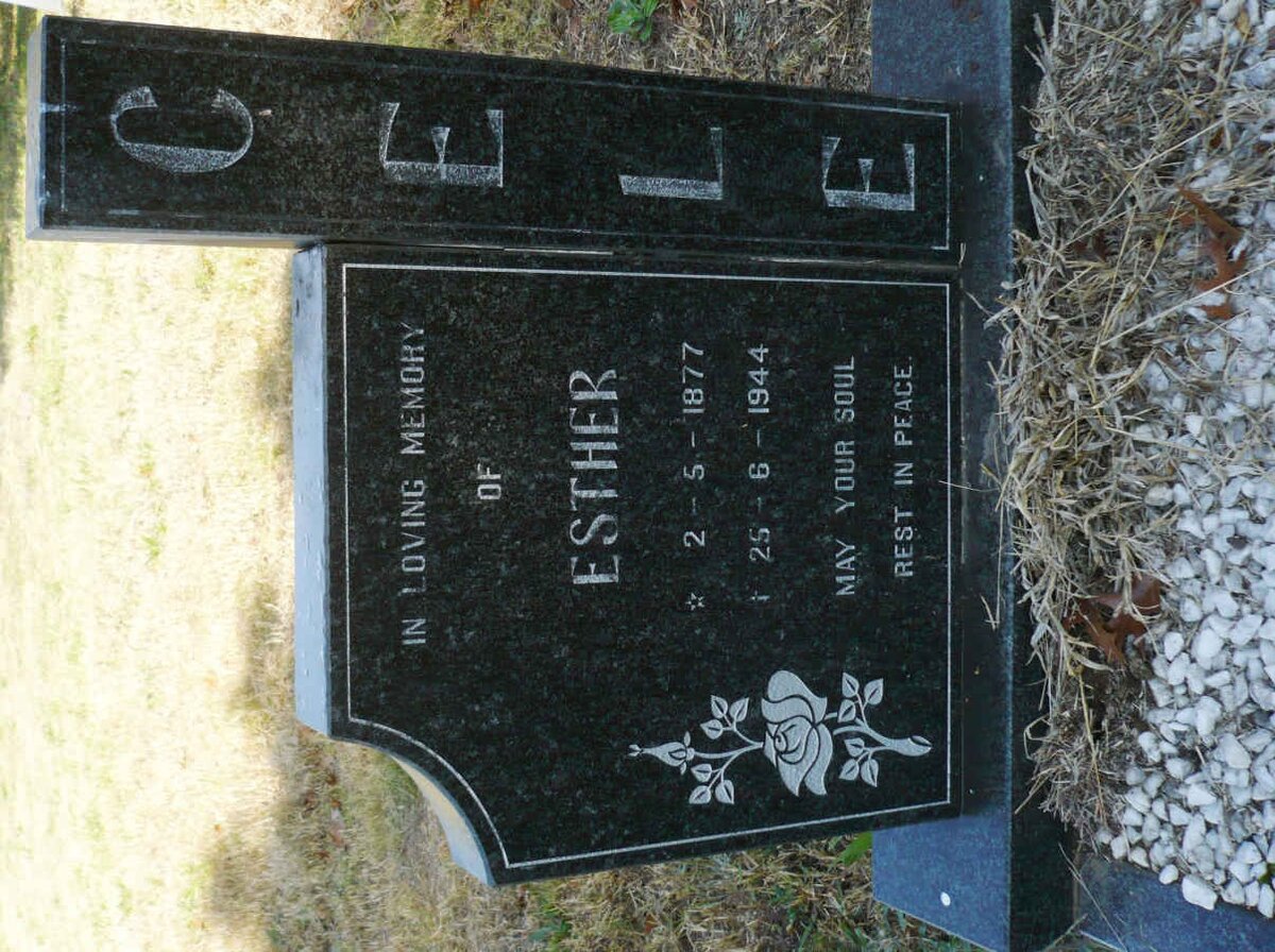 CELE Esther 1877-1944